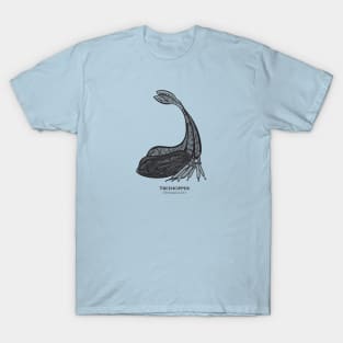 Y-Horned Treehopper Bug with Common and Scientific Names T-Shirt